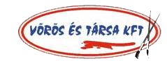 vt logo.png